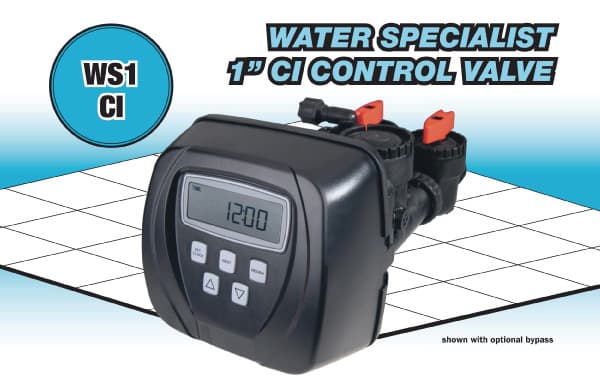 WS1CI
